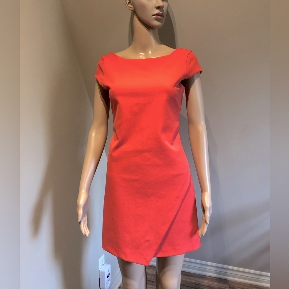 Zara Trafaluc dress